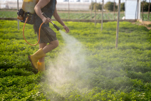 Best Wildlife Control Services  in Maitland, FL
