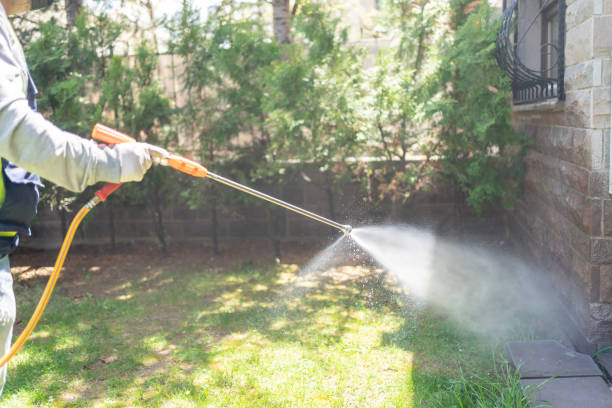 Best Pest Control for Businesses  in Maitland, FL