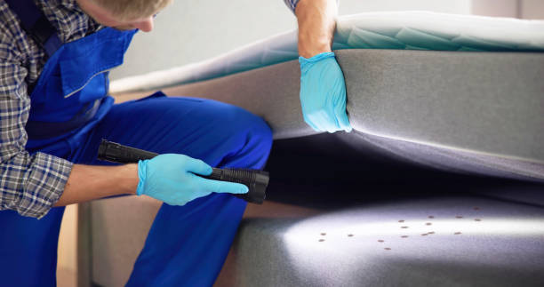 Best Best Pest Control Companies  in Maitland, FL