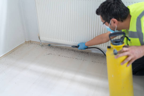 Best Bed Bug Extermination  in Maitland, FL